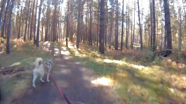 Байк Легран смотреть онлайн