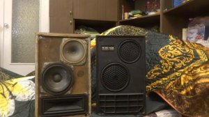 Рассуждение о колонках 15ас-408 Вега