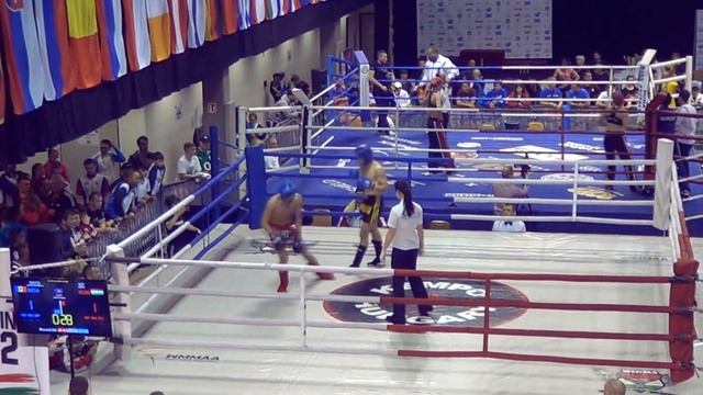 Поездка на XXII Кубок Мира по кикбоксингу, Венгрия, г. Будапешт 2016 год. смотреть онлайн