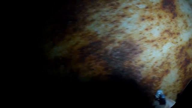 "Пётр Великий" .Мурманск.Регистровый осмотр под морской регистр. смотреть онлайн