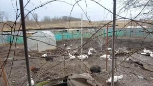 Крупорушка / зернодробилка Эликор 1