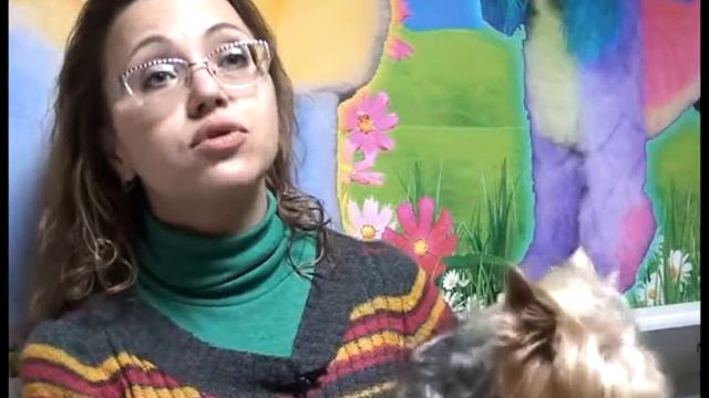 СТВ-Камышин. Салон груминга в Камышине "Любимчик". Ролик №3 смотреть онлайн
