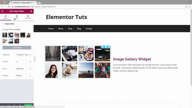 How to Use Image Gallery Widget on Elementor Page Builder Plugin смотреть онлайн