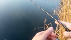 Мормышинг :  «упитанные караси на силиконового мотыля»