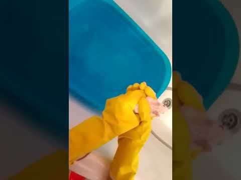 Крыска Василиска. смотреть онлайн