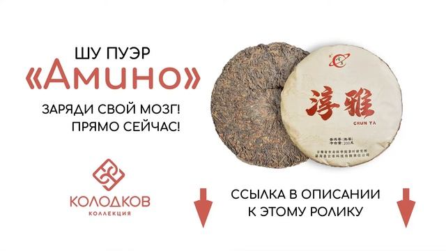 #24.ЧАЙНЫЙ ГЛОБУС || Виктор Колодков смотреть онлайн