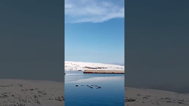 После "обеда"... смотреть онлайн