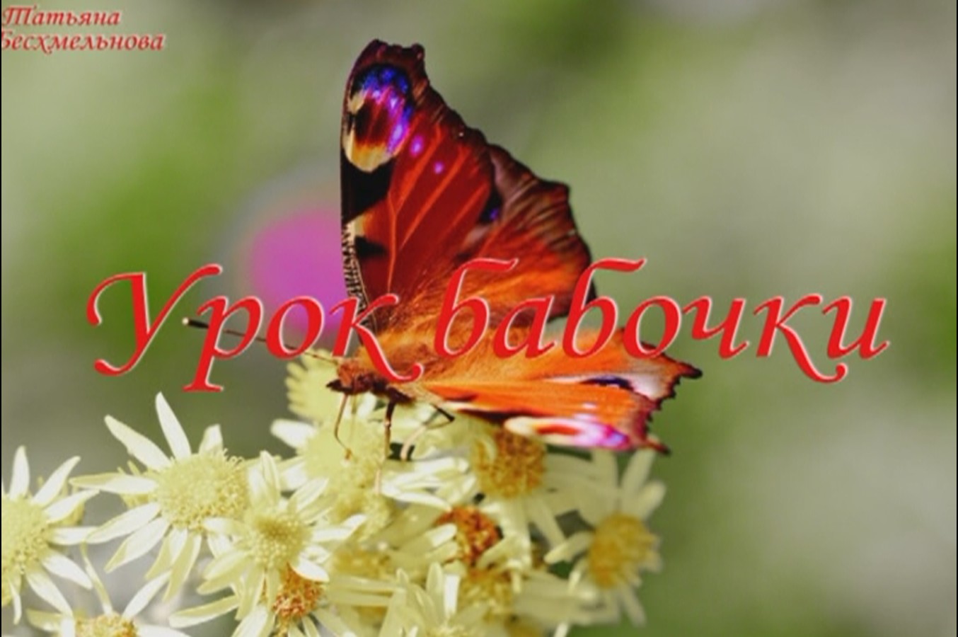 притча "Урок бабочки" смотреть онлайн