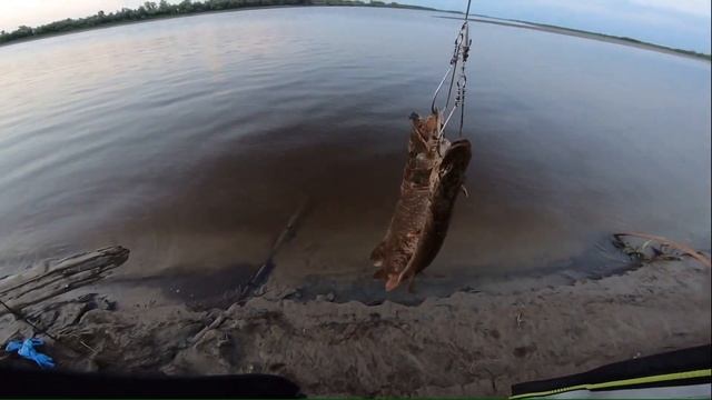 Рыбалка с ночевкой! Щука клюёт дерзко, аж леска трещит! смотреть онлайн