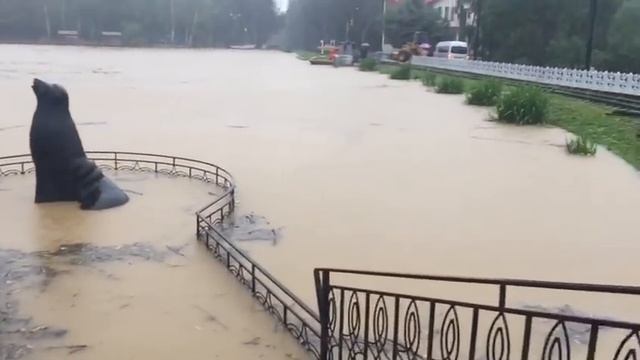 Озеро Верхнее вышло из берегов в Южно-Сахалинске смотреть онлайн