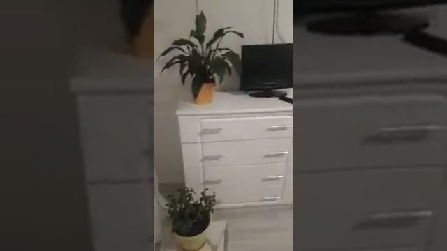 Государев дом.сухановская 23 .кухня смотреть онлайн