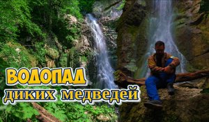 ОТКУДА СЮДА ПРИШЛИ МЕДВЕДИ? ИНГУШЕТИЯ,ВОДОПАД ЭКА-ЧОЖИНСКИЙ
