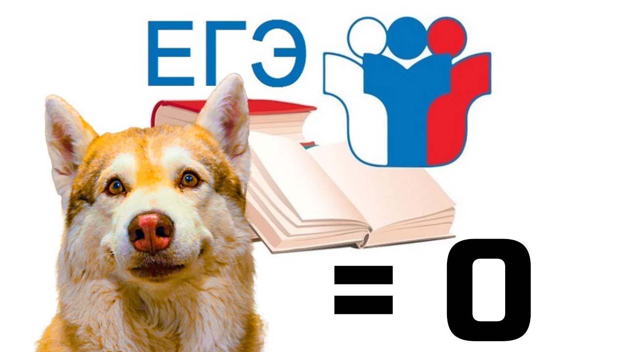 ЕГЭ НОЛЬ БАЛЛОВ!! Если бы песики ходили в школу! Хаски Бублик Говорящая собака Mister Booble смотреть онлайн