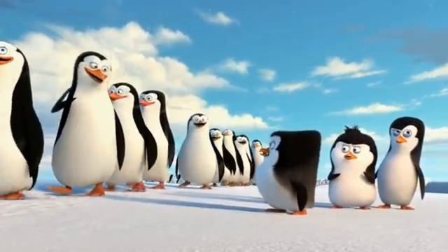 Озвучка пингвины Мадагаскара(тизер) смотреть онлайн