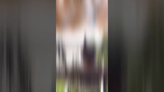 Навес из поликарбоната 10*5