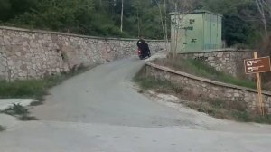Хонда дио 27 в стоке создано для станта Осторожно самостоятельно не повторять!