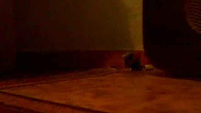 Абонентский громкоговоритель "Нева" 1954 г смотреть онлайн