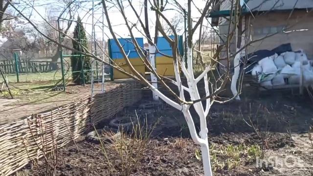 На даче/чистим, обрезаем малину/опрыскиваем сад/шашлык на ужин смотреть онлайн