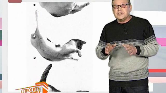 Романтические мечты