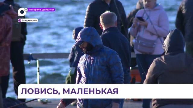 Ловят вёдрами: корюшка пошла во Владивостоке смотреть онлайн