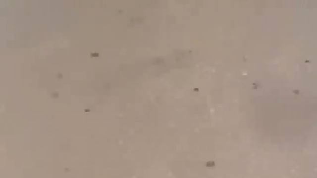 Honda CBR 929 RR stunts смотреть онлайн