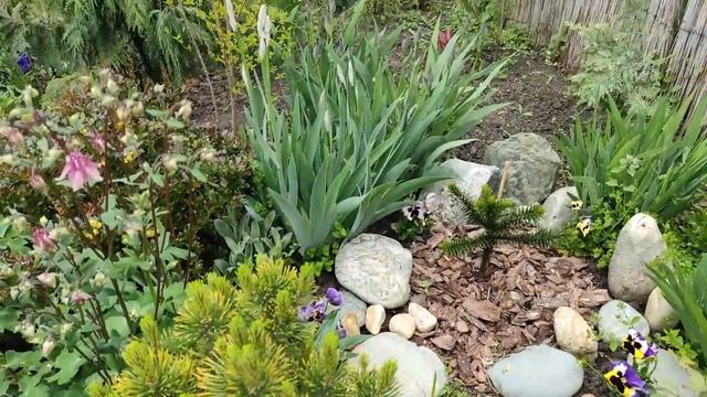 Прогулка по саду 1 мая 2022 ЮЖНЫЙ ЭКЗОТИЧЕСКИЙ САД | Большая коллекция редких растений ОБЗОР САДА смотреть онлайн