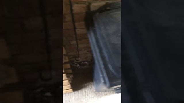 My Hermes "safe place" lazy driver ? смотреть онлайн