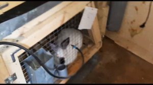 Выгодно ли держать кроликов? Сколько я заработал на первых крольчатах???