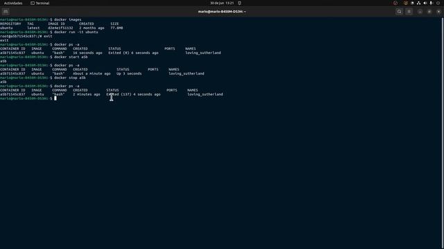 CURSO DE DOCKER - Cómo Paralizar, Reiniciar e Iniciar un Contenedor de Docker ? смотреть онлайн