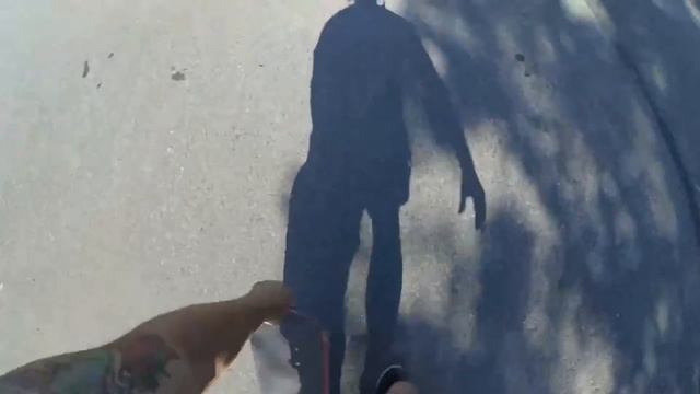 Скейтборд начало (виды скейтов) смотреть онлайн