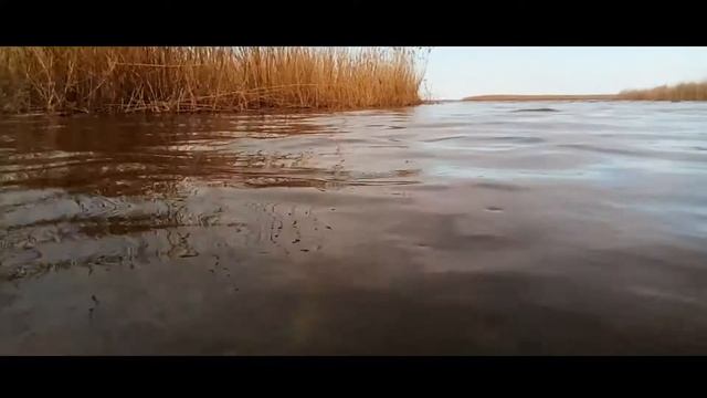 Азовские лиманы 2017 смотреть онлайн