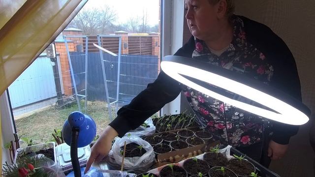 #82 Рум Тур по участку/Обзор нашего сада/Жизнь на юге после переезда с Урала смотреть онлайн