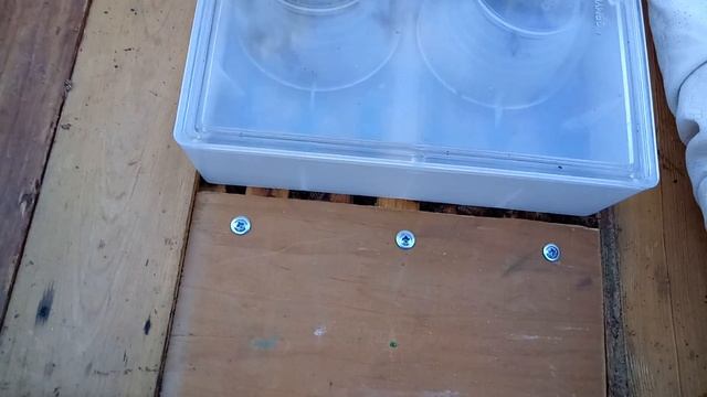 моя кормушка для пчёл. смотреть онлайн