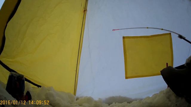 Рыбалка, Яуза, рыбалка на Яузе, плотва.