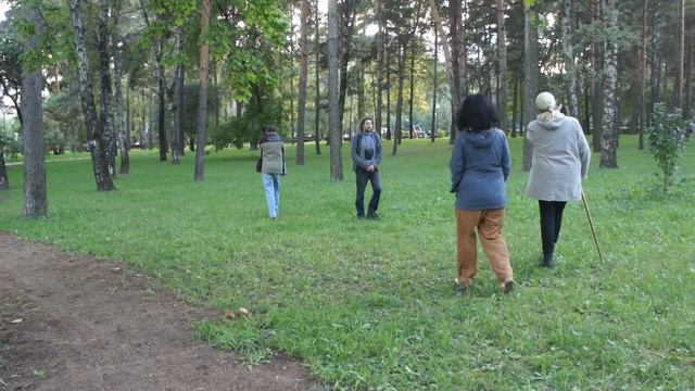 Царицыно. Парк Сосенки. Общественный контроль. смотреть онлайн