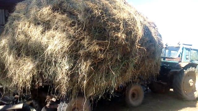 Привезли сено.Валяем на сеновал.Чудо техника мотоблок.