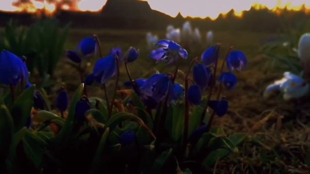 Весенний вечер | Атмосфера спокойствия смотреть онлайн