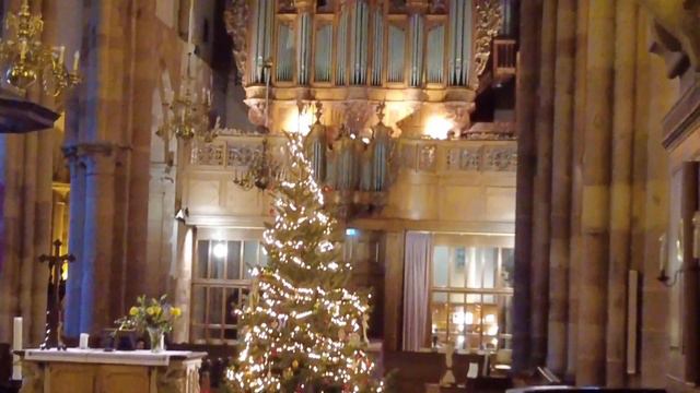 フランス アルザス地方のクリスマス ストラスブール2023｜フランス旅行｜フランス観光 смотреть онлайн