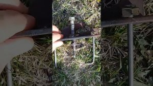 Снять ротор магнето (маховик) на бензопиле.