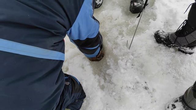 Лещ пойманый за хвост не лезет в лунку. смотреть онлайн