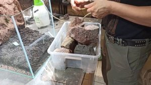 Правильный флорариум с хищными растениями