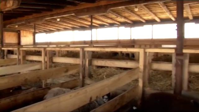 Дороги деревенские 16 05