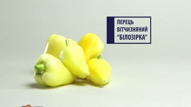 Сильпо ТВ белый перец смотреть онлайн