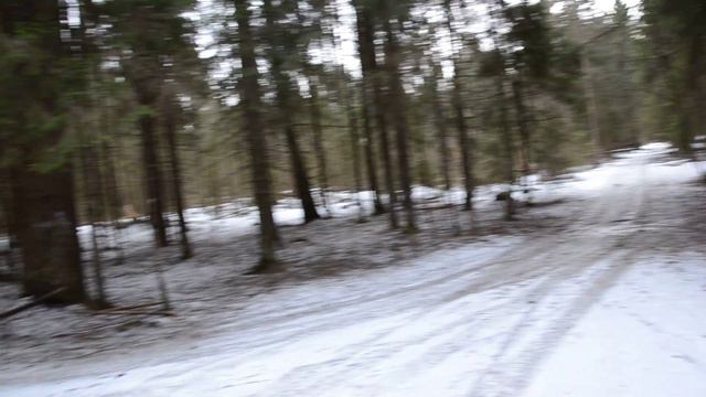 перекресток дорог, Пушкинский лес смотреть онлайн