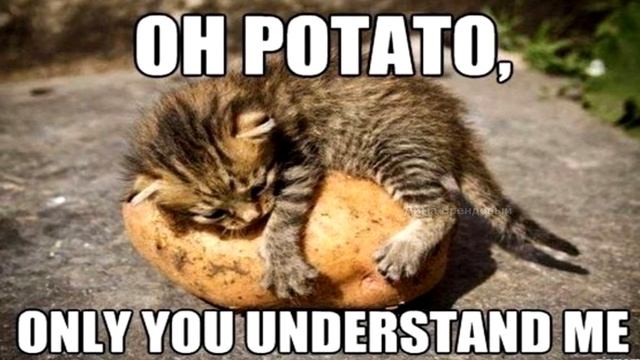 OH POTATO
