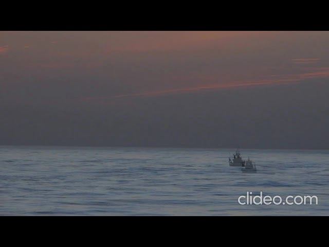 молчат прибрежные таверны... Макс Салтыков смотреть онлайн