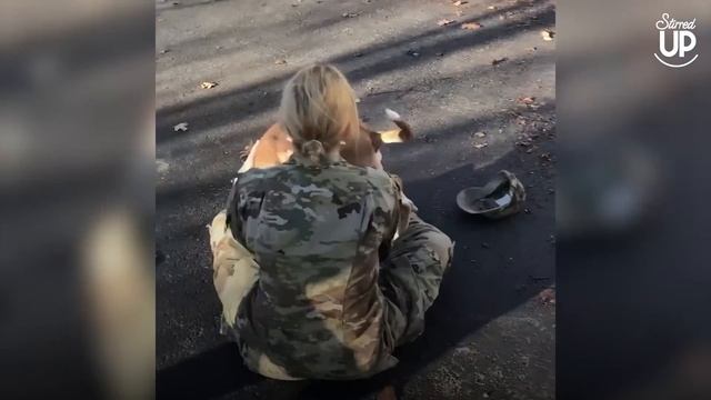 After Long Time Apart, Dog Doesn't Recognize Owner & It Breaks Her Heart | Then Everything Clicks! смотреть онлайн