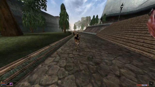 Fighting Gaenor in Morrowind смотреть онлайн