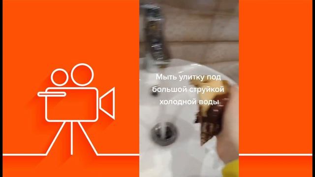 ОГО, ЖИВОТНЫЕ В ЗОНЕ 3000% СМЕХА! 😂🦄🚀 КОГДА КОТЫ, СОБАКИ И НЕ ТОЛЬКО СТАНОВЯТСЯ ЛЕГЕНДАМИ ЮТУБА! смотреть онлайн
