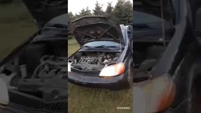 Toyota Echo смотреть онлайн